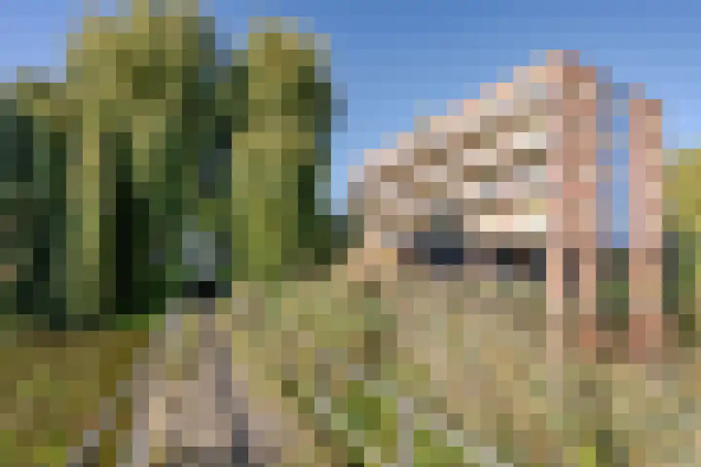 Snelfilterweg 60 Rotterdam thumbnail 38