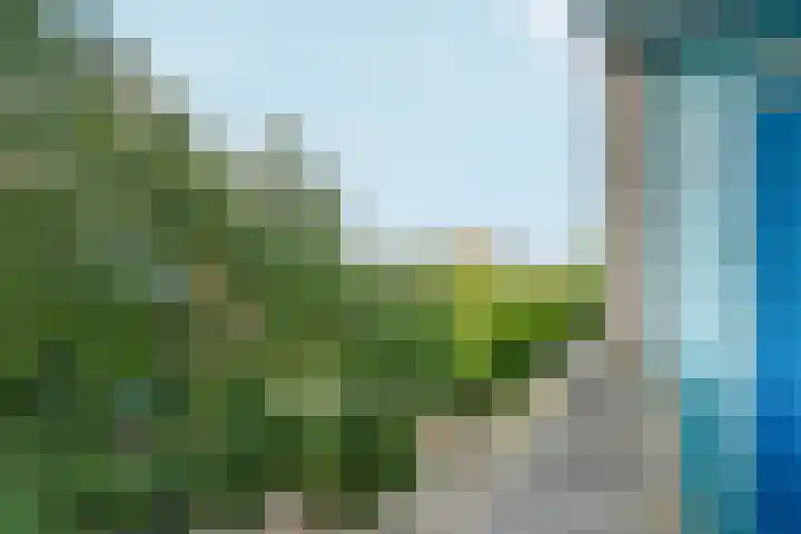 Snelfilterweg 81 Rotterdam thumbnail 11