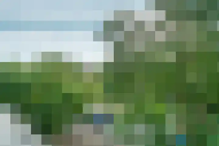 Snelfilterweg 81 Rotterdam thumbnail 38