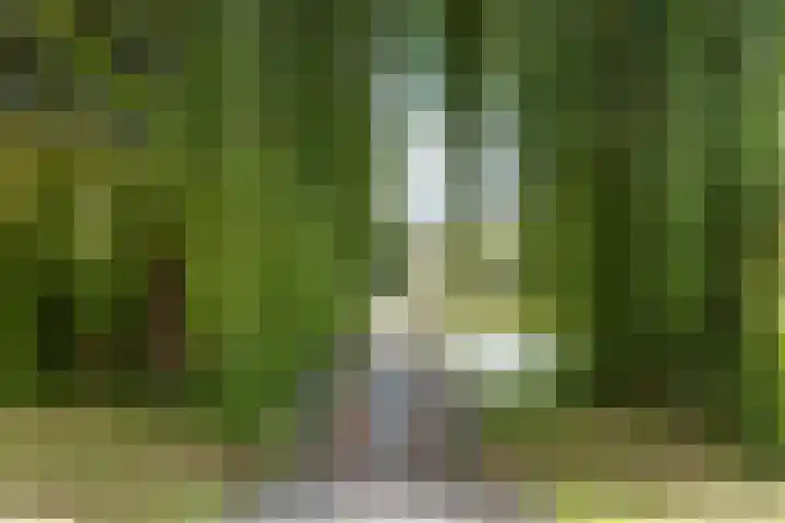 Snelfilterweg 81 Rotterdam thumbnail 40