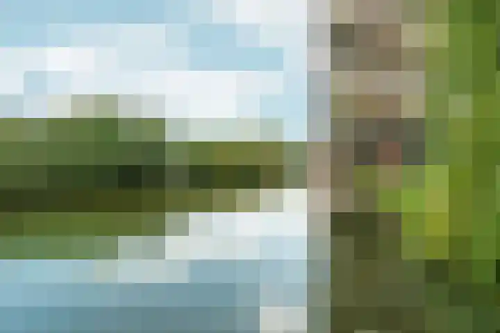 Snelfilterweg 81 Rotterdam thumbnail 41