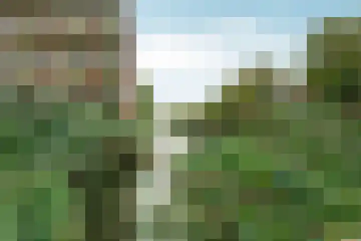 Snelfilterweg 81 Rotterdam thumbnail 42