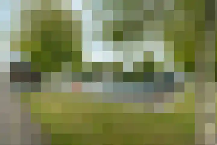 Snelfilterweg 81 Rotterdam thumbnail 43
