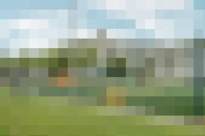 Snelfilterweg 81 Rotterdam thumbnail 44
