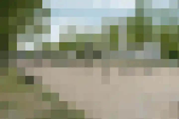 Snelfilterweg 81 Rotterdam thumbnail 45