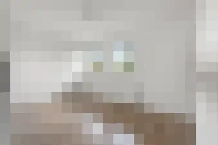 Snelfilterweg 81 Rotterdam thumbnail 5
