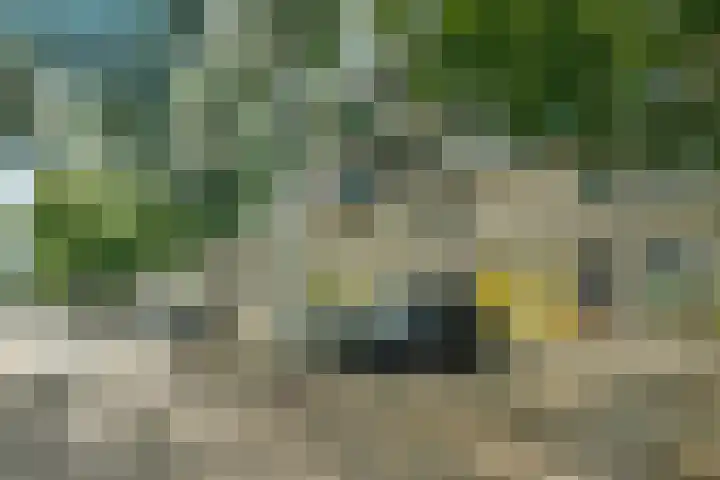Snelfilterweg 81 Rotterdam thumbnail 7