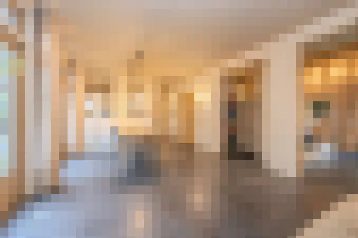 Snellaertsstraat 16 Oirschot thumbnail 13