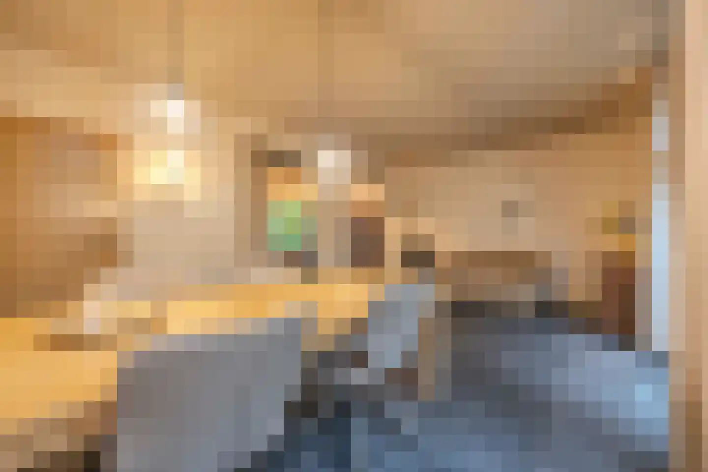 Snellaertsstraat 16 Oirschot thumbnail 14