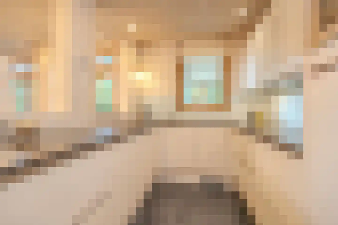 Snellaertsstraat 16 Oirschot thumbnail 15