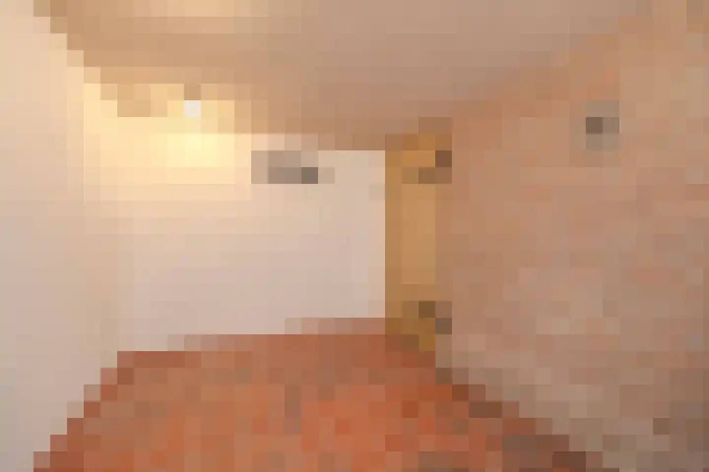 Snellaertsstraat 16 Oirschot thumbnail 20