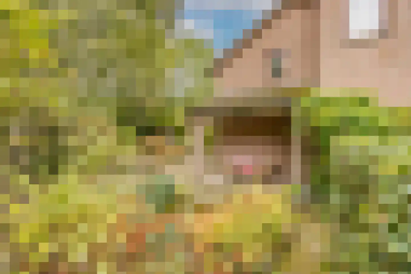 Snellaertsstraat 16 Oirschot thumbnail 48