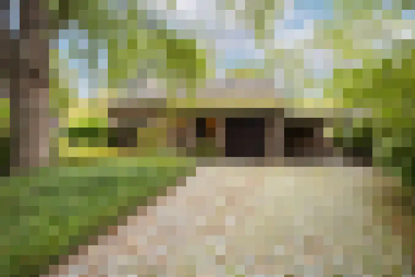 Snellaertsstraat 16 Oirschot thumbnail 51