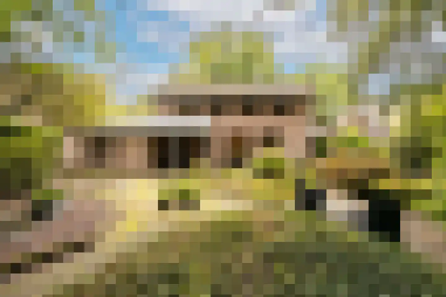 Snellaertsstraat 16 Oirschot thumbnail 6