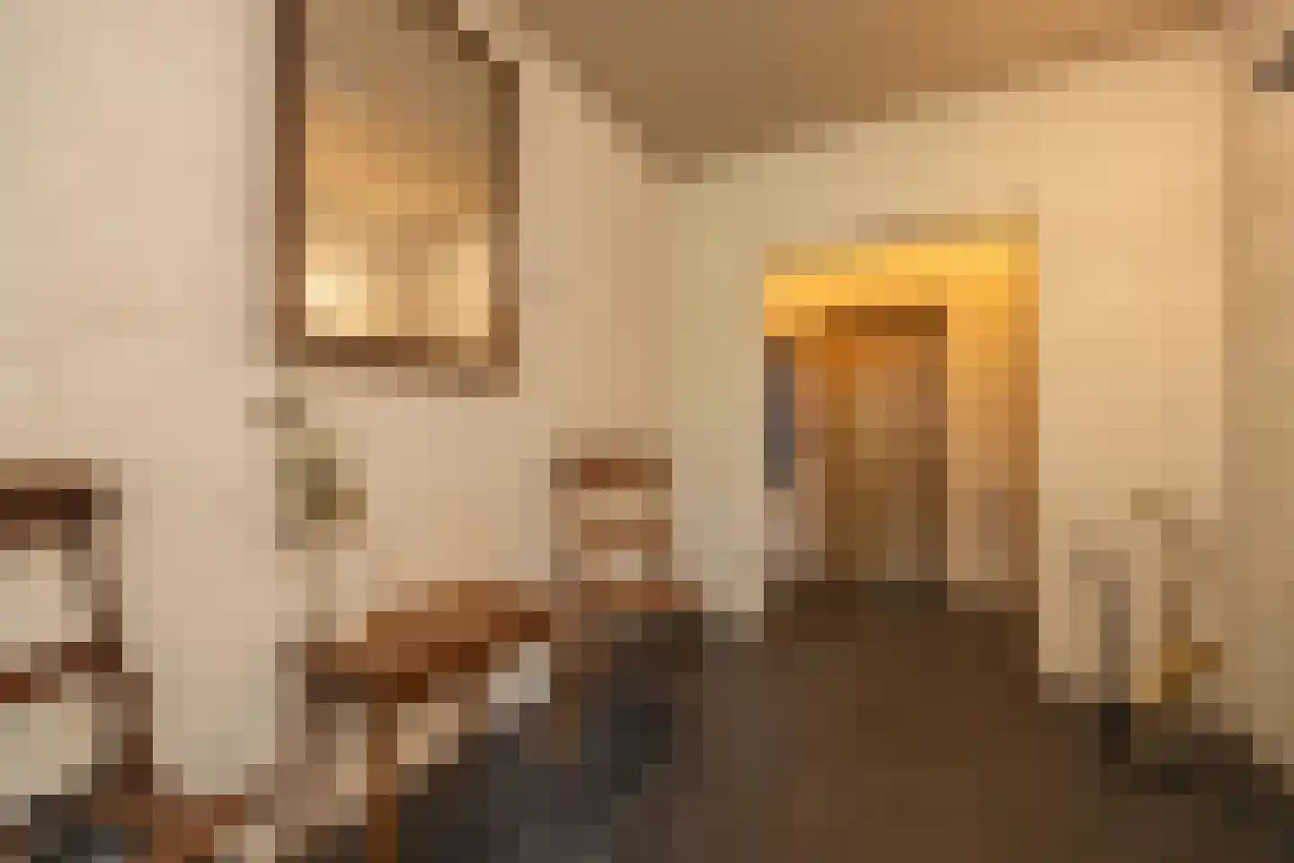 Snellaertsstraat 16 Oirschot thumbnail 8