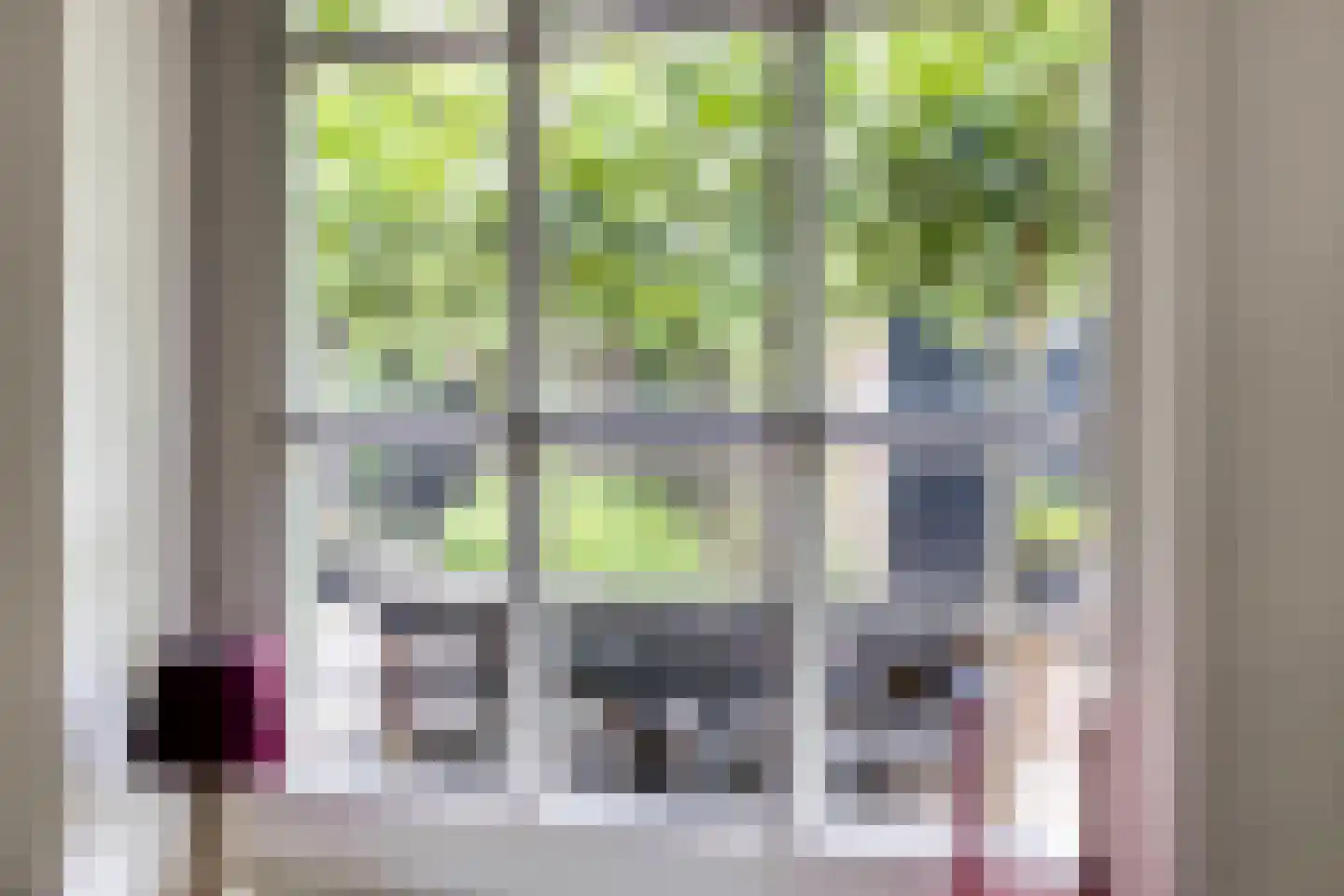 Snelleloop 1 Heesch thumbnail 18