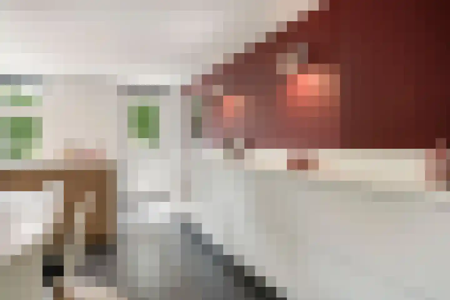 Snelleloop 1 Heesch thumbnail 21