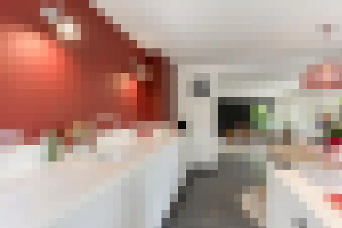 Snelleloop 1 Heesch thumbnail 22