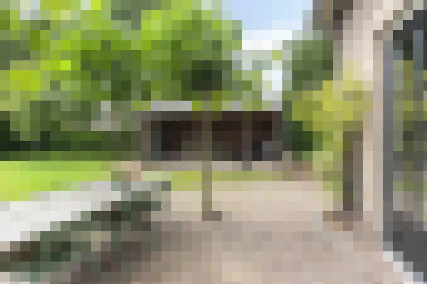 Snelleloop 1 Heesch thumbnail 28