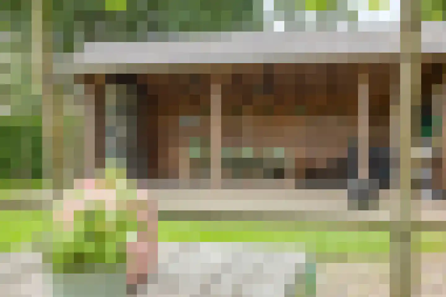 Snelleloop 1 Heesch thumbnail 29