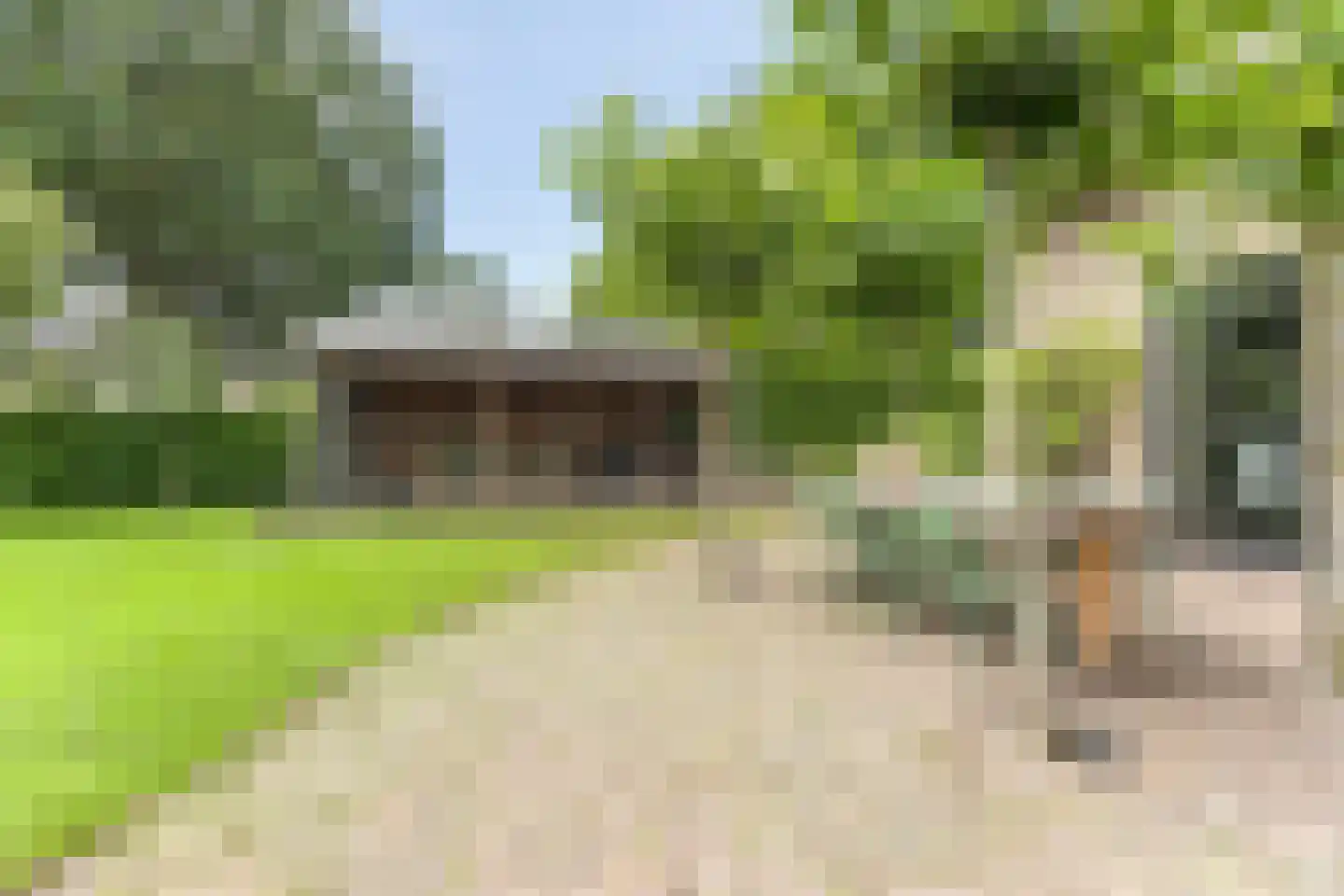 Snelleloop 1 Heesch thumbnail 30