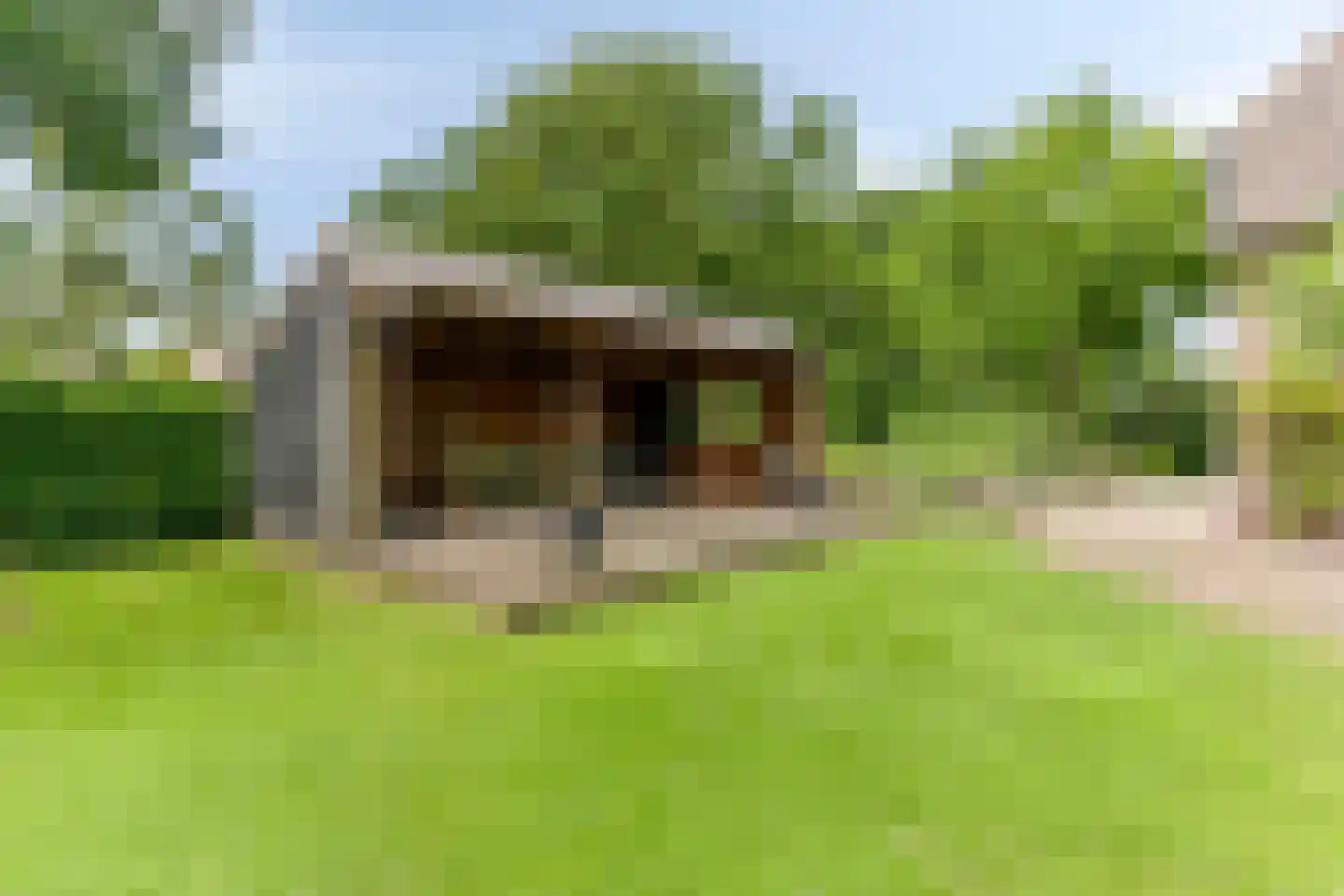 Snelleloop 1 Heesch thumbnail 31