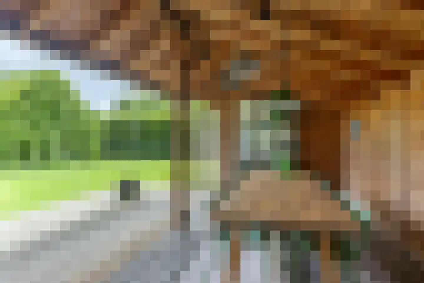 Snelleloop 1 Heesch thumbnail 32