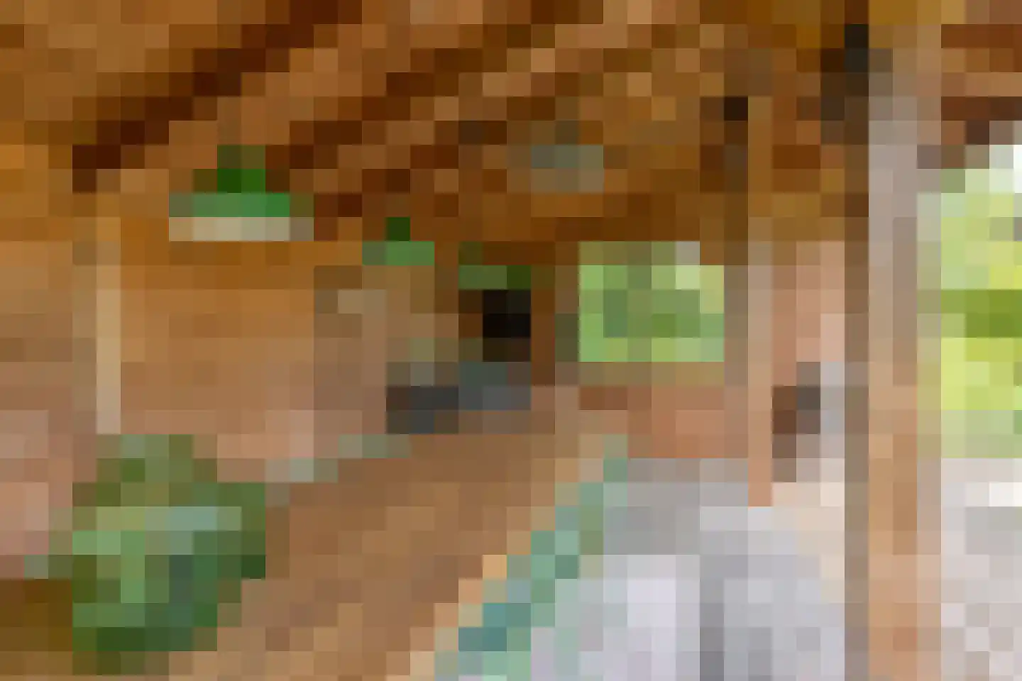 Snelleloop 1 Heesch thumbnail 33