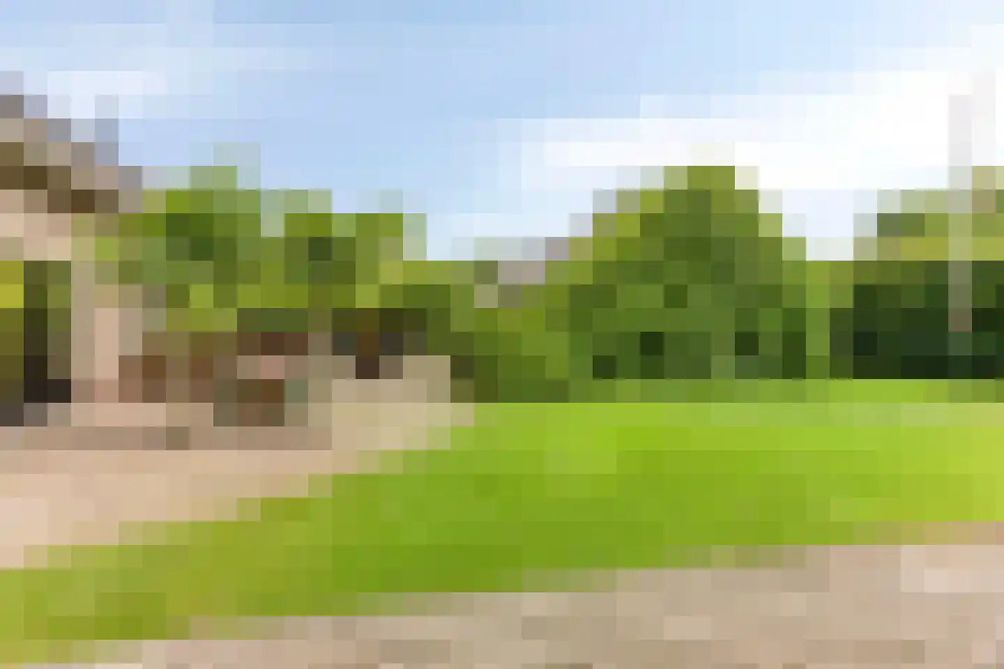 Snelleloop 1 Heesch thumbnail 34