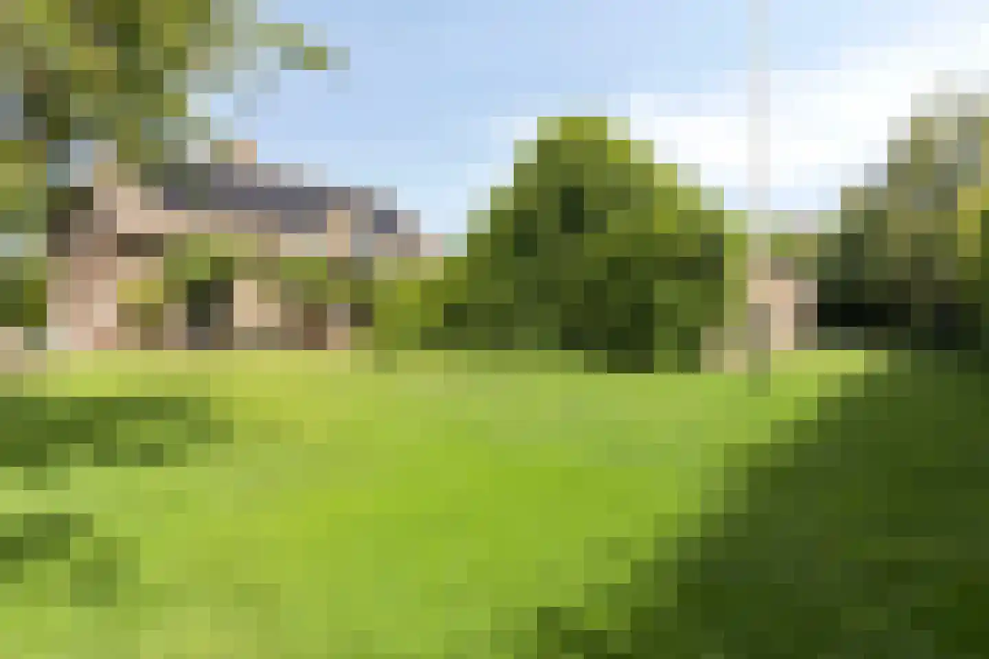 Snelleloop 1 Heesch thumbnail 36