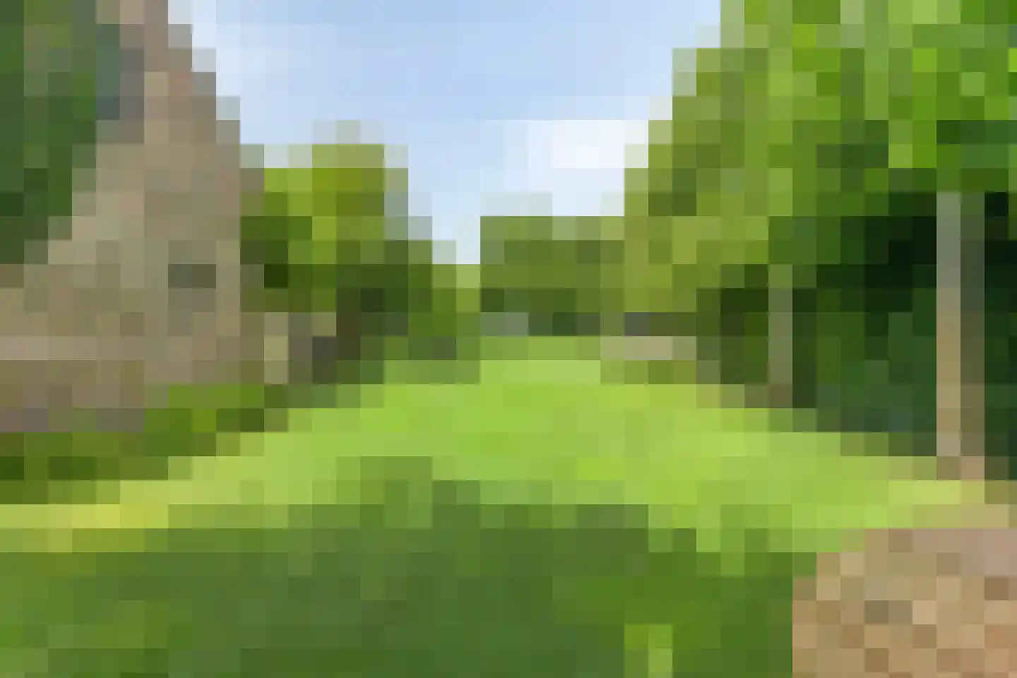 Snelleloop 1 Heesch thumbnail 38