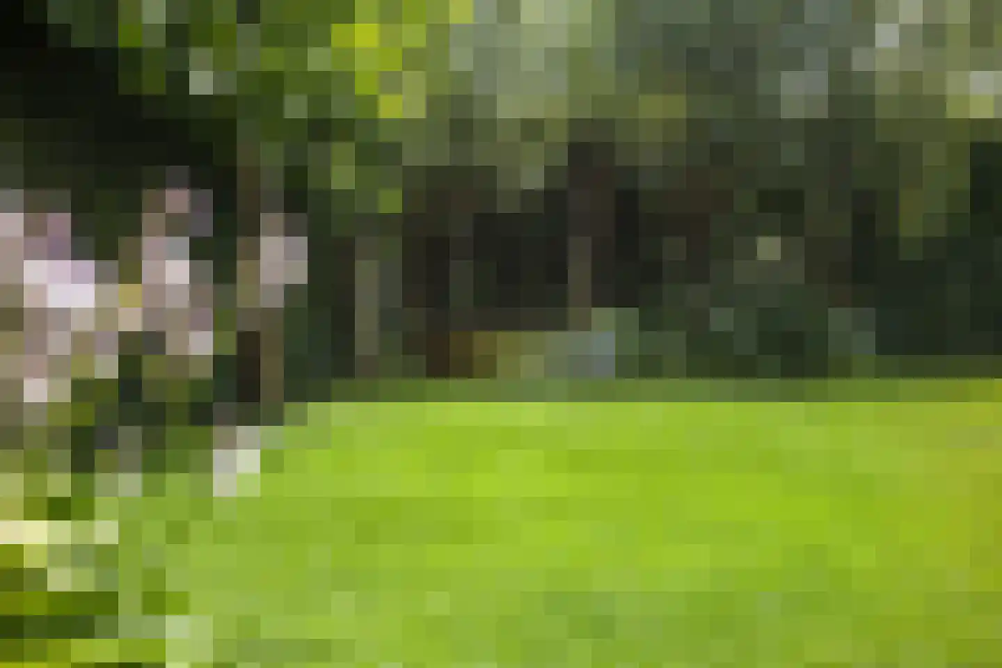 Snelleloop 1 Heesch thumbnail 39