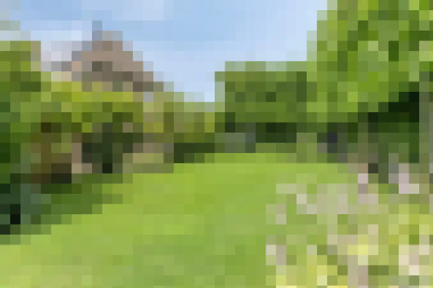 Snelleloop 1 Heesch thumbnail 40