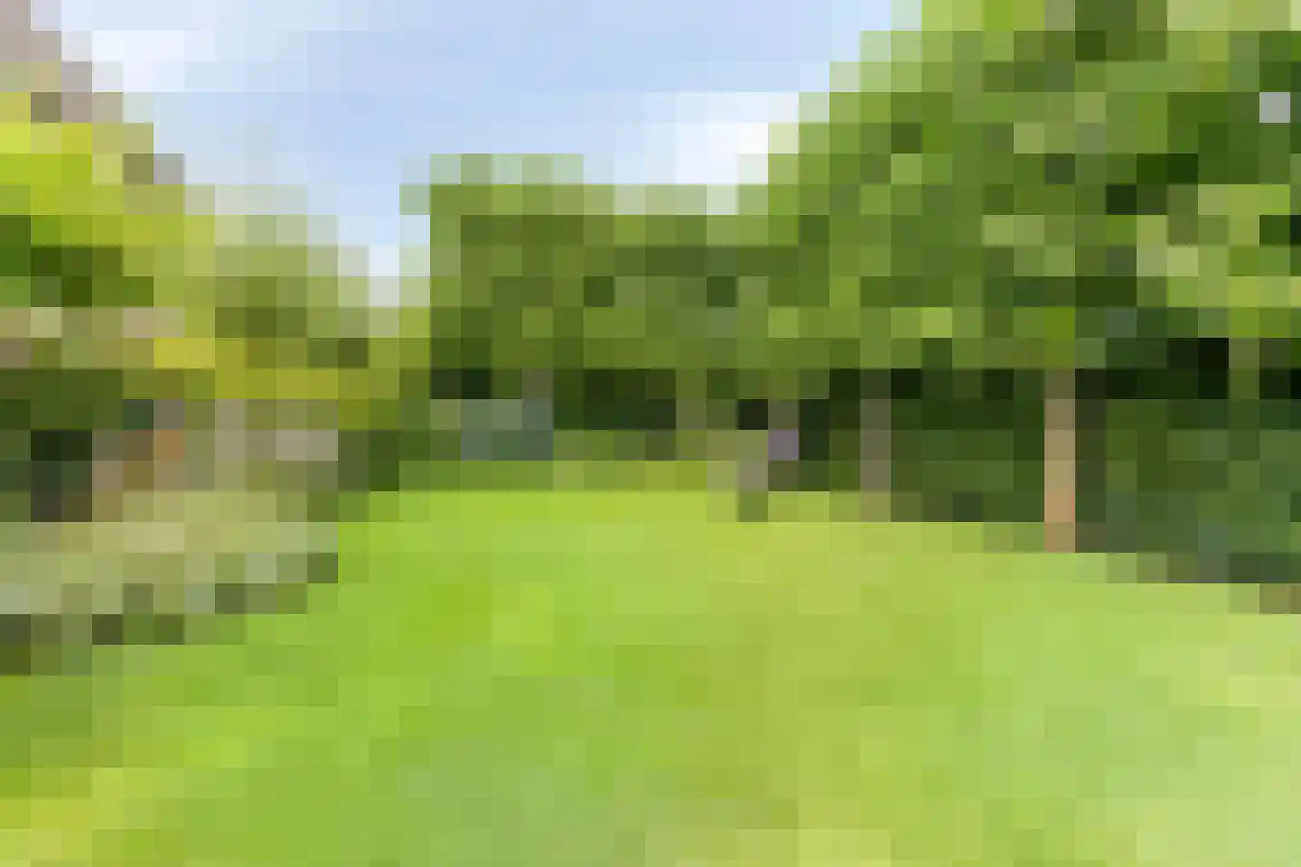 Snelleloop 1 Heesch thumbnail 41
