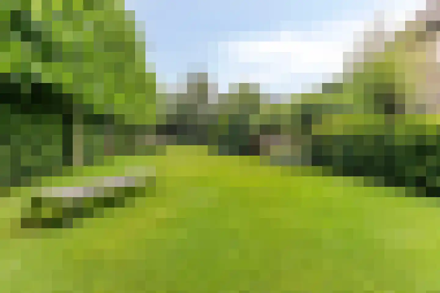 Snelleloop 1 Heesch thumbnail 42