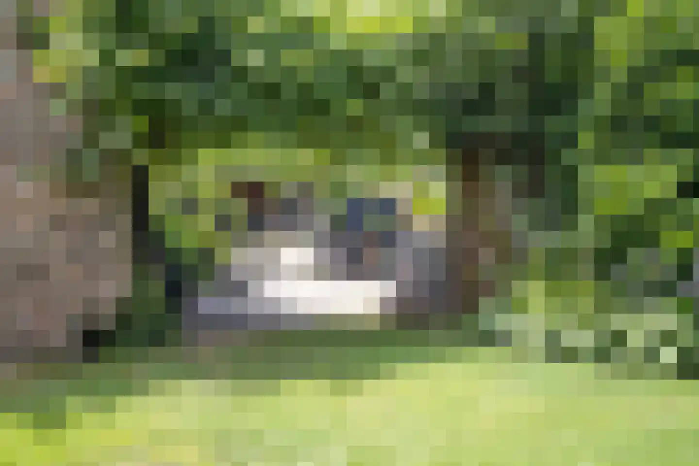 Snelleloop 1 Heesch thumbnail 43
