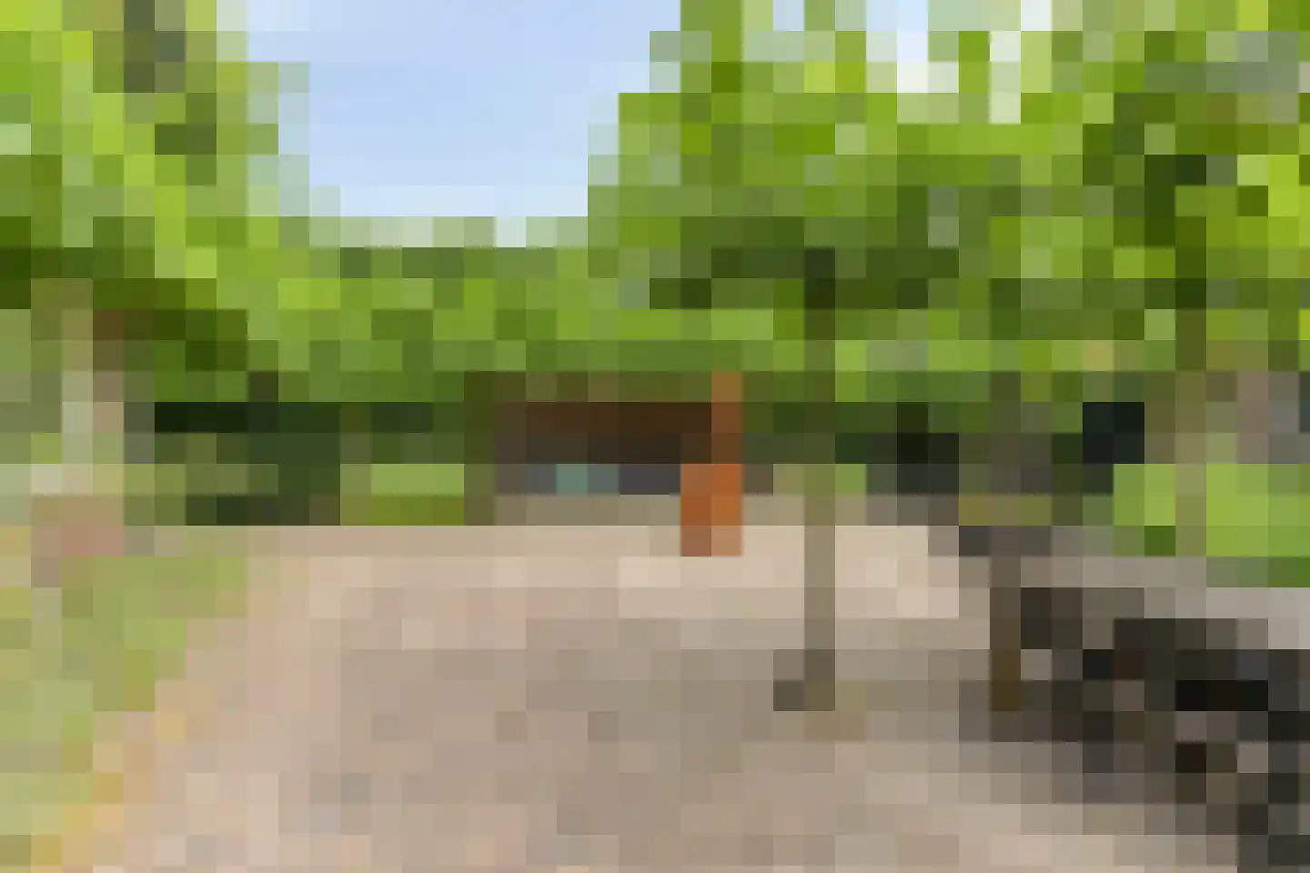 Snelleloop 1 Heesch thumbnail 46