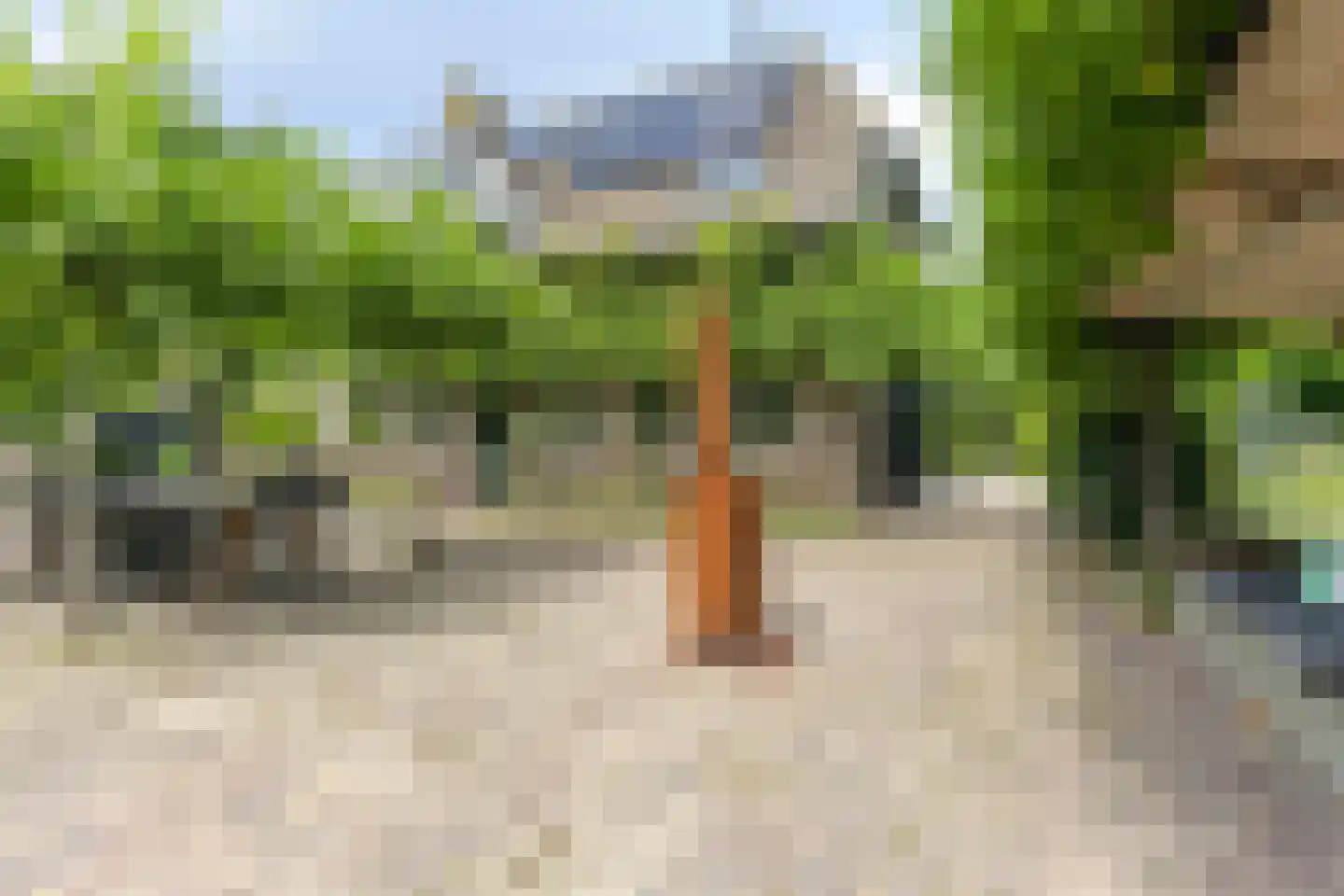 Snelleloop 1 Heesch thumbnail 48