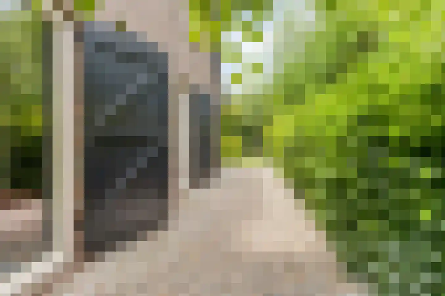 Snelleloop 1 Heesch thumbnail 49
