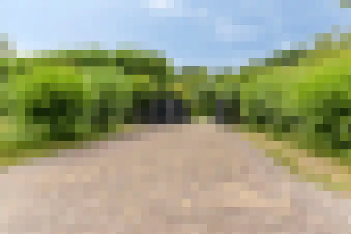 Snelleloop 1 Heesch thumbnail 5