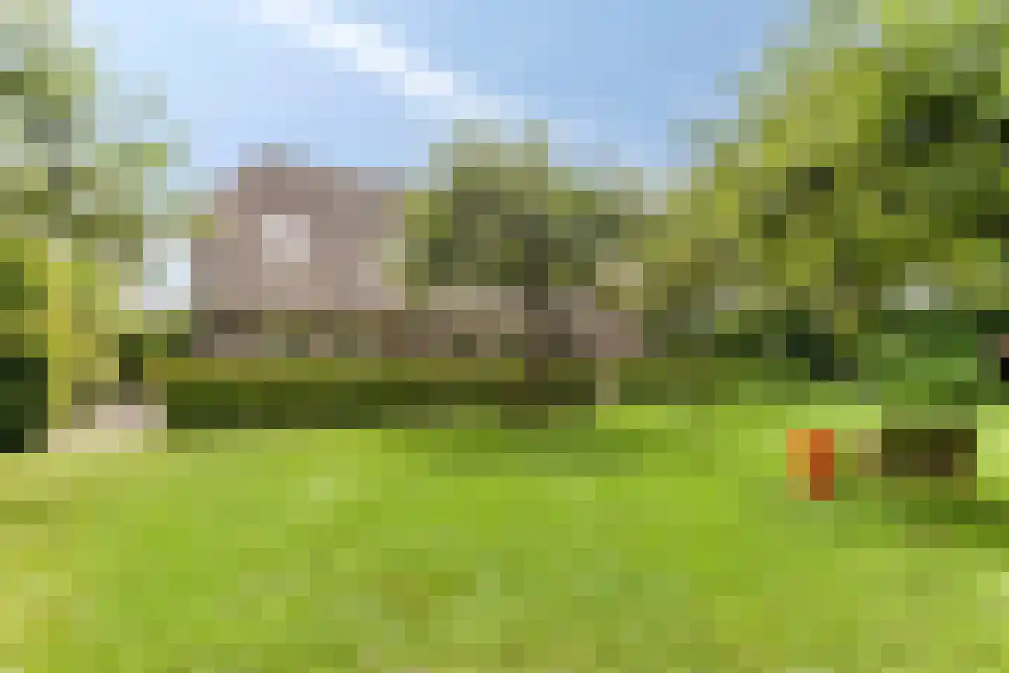 Snelleloop 1 Heesch thumbnail 51