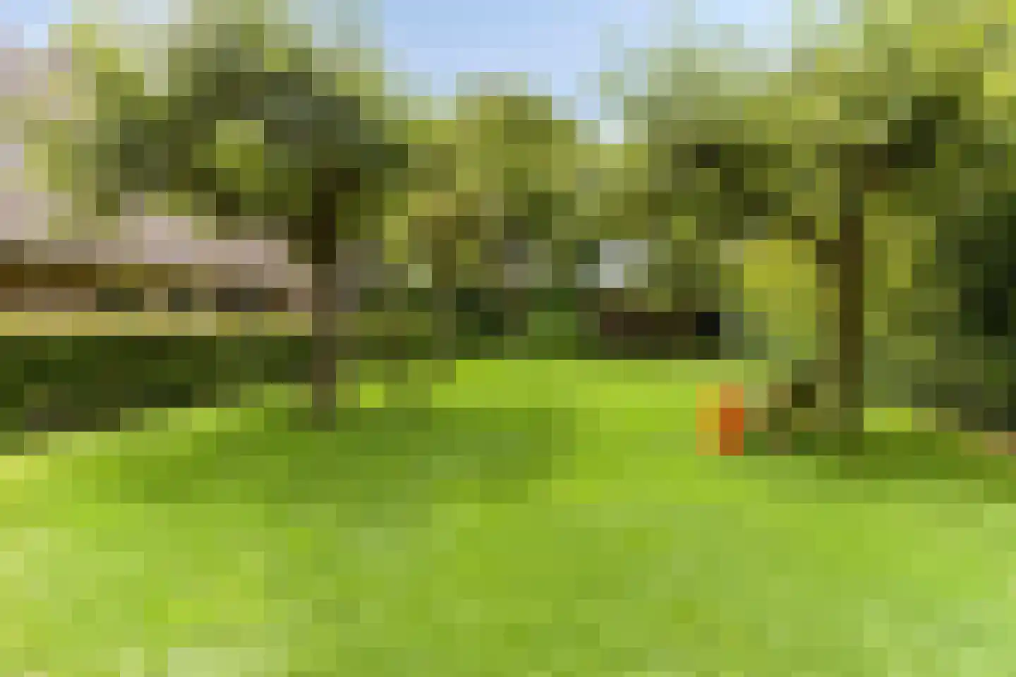 Snelleloop 1 Heesch thumbnail 52