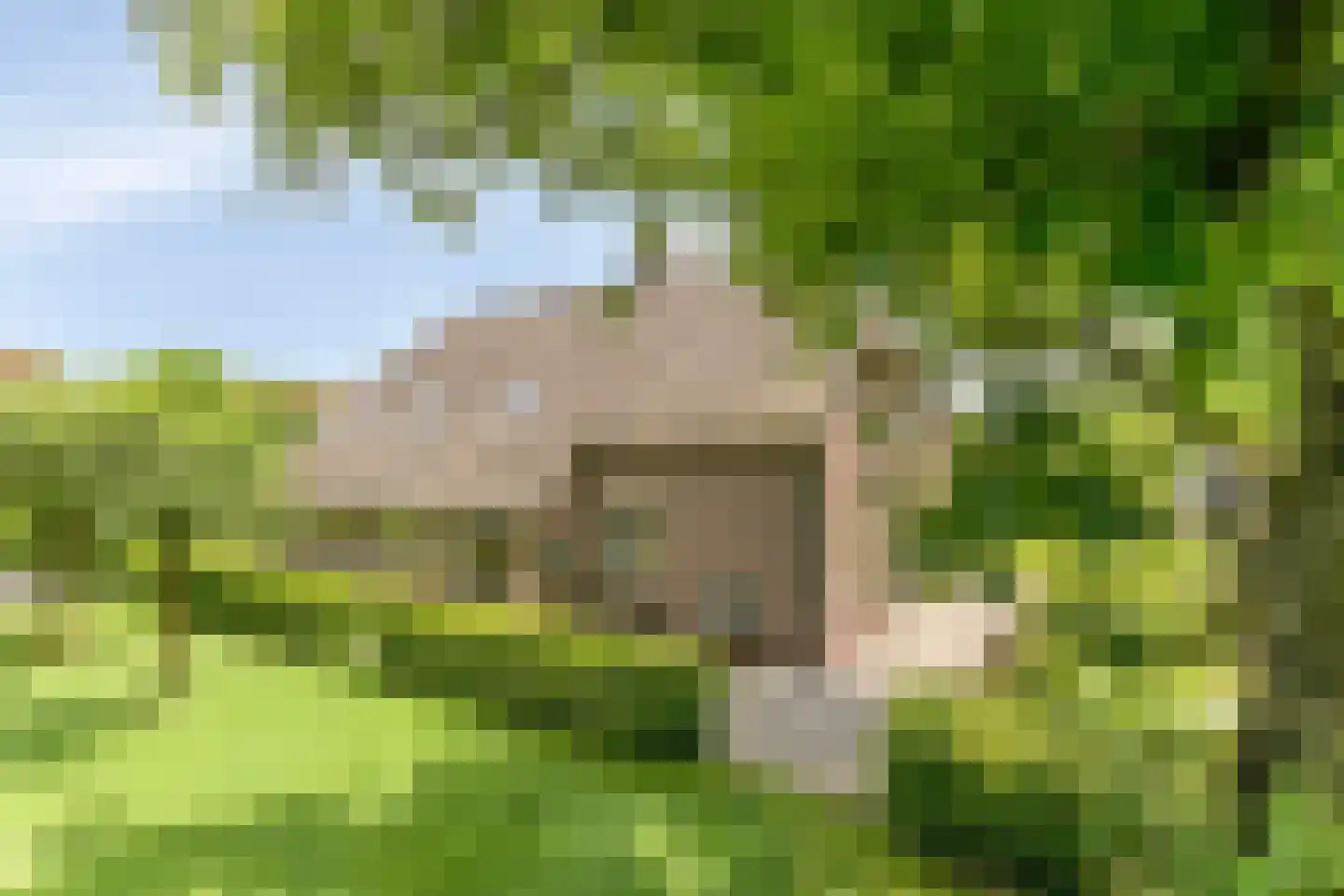 Snelleloop 1 Heesch thumbnail 53