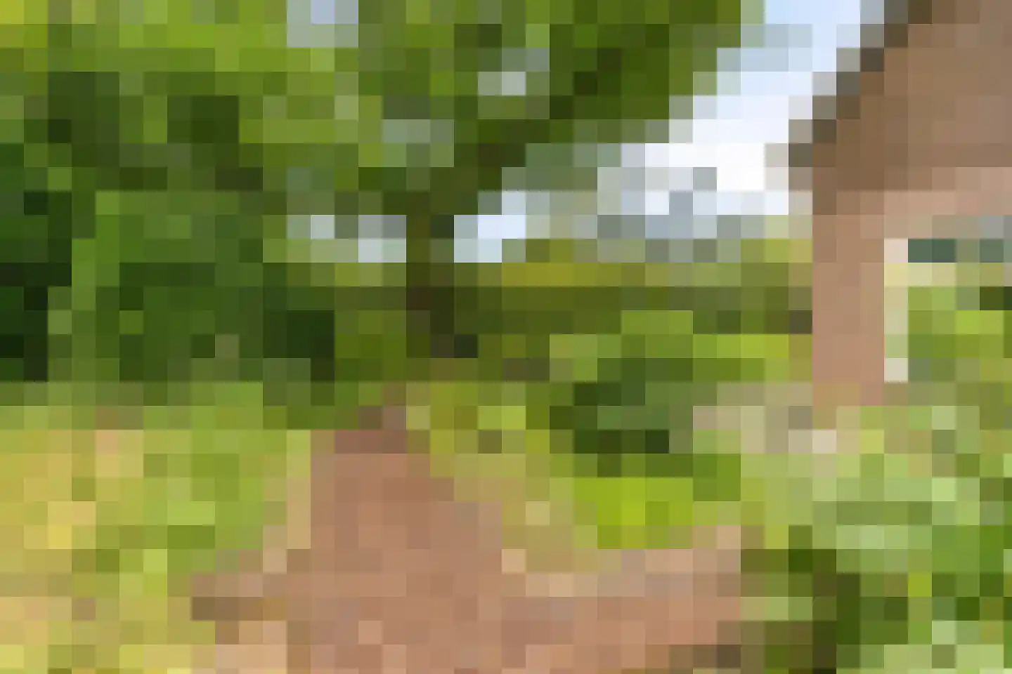 Snelleloop 1 Heesch thumbnail 55