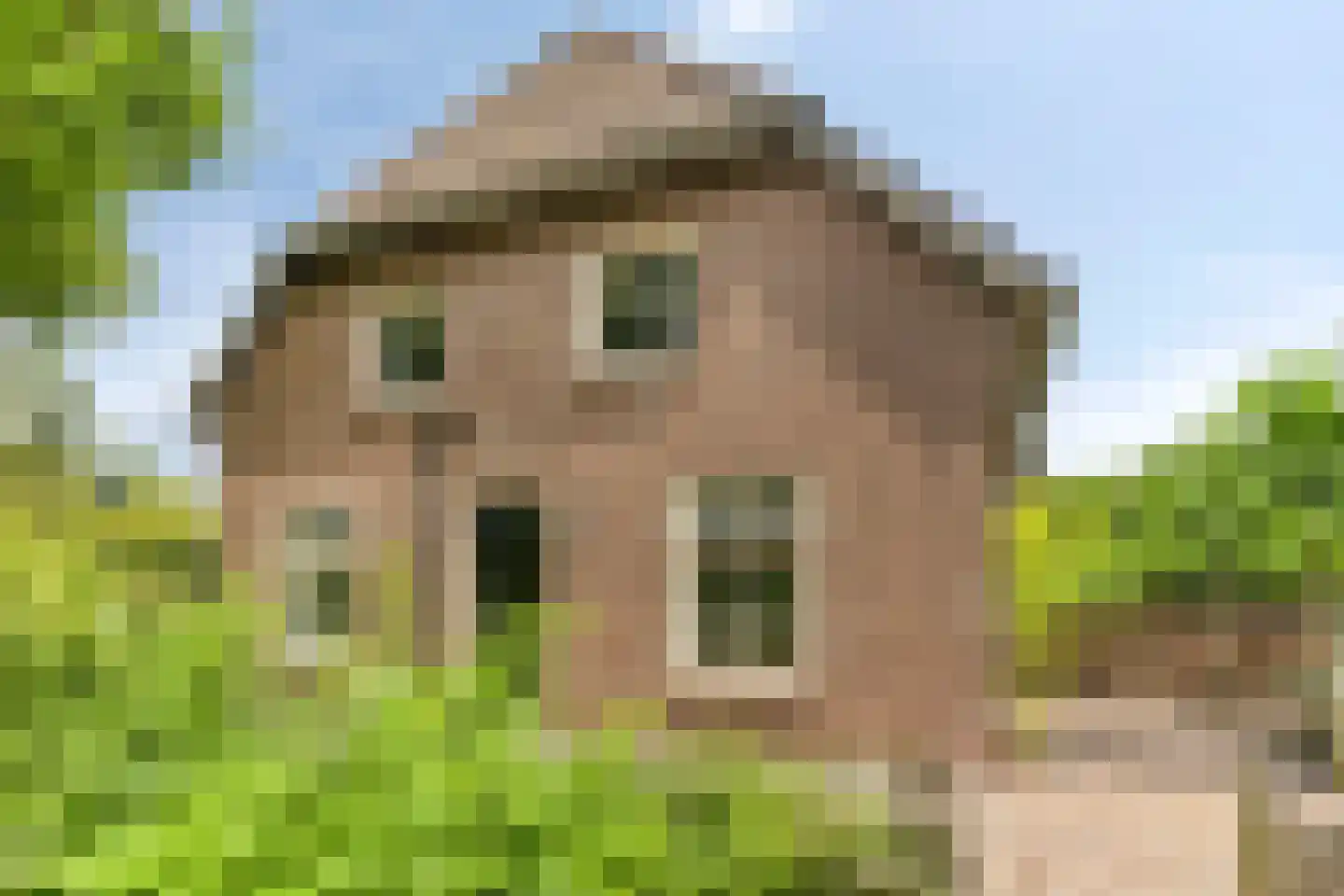 Snelleloop 1 Heesch thumbnail 56