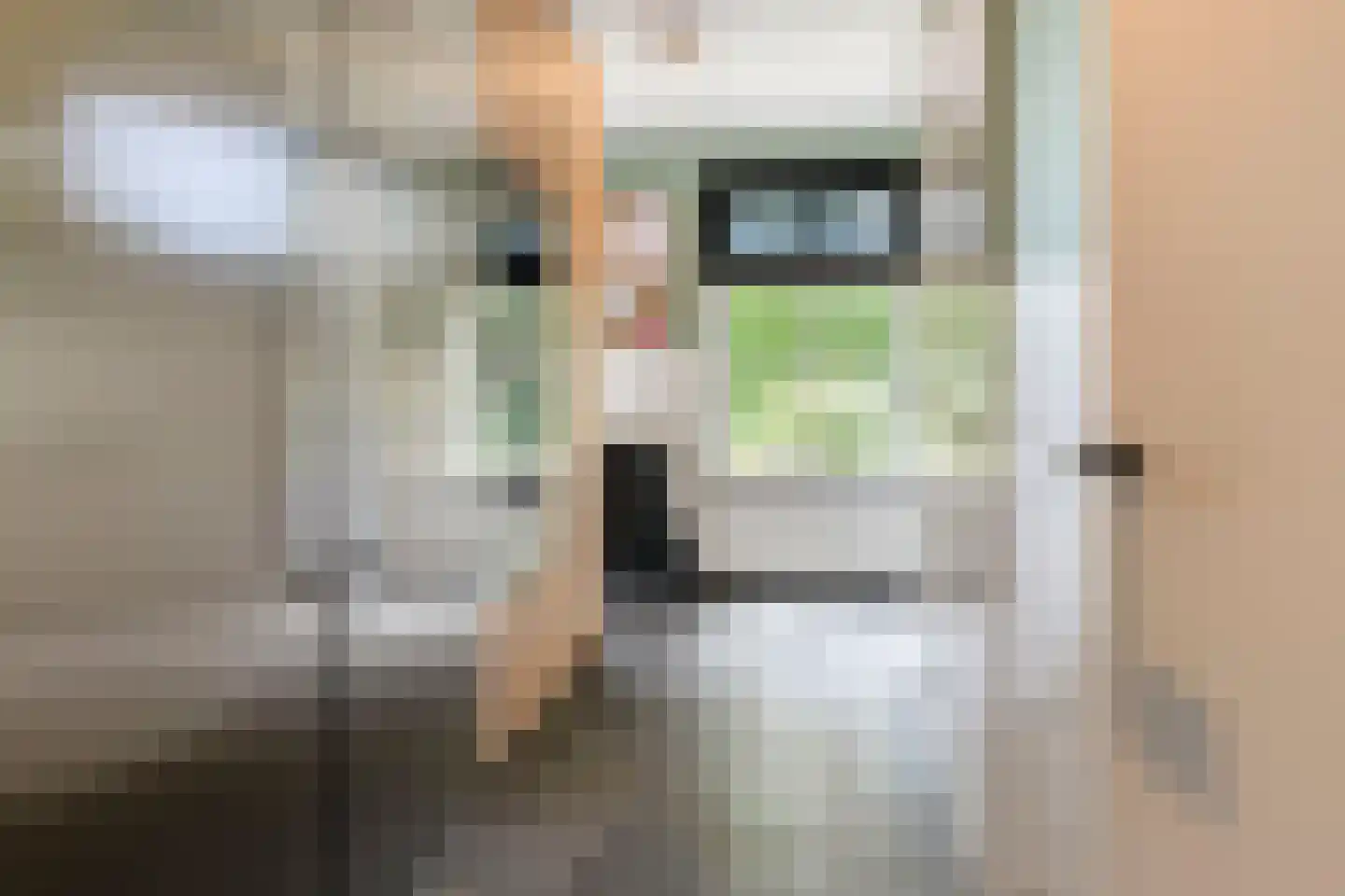 Snelleloop 1 Heesch thumbnail 57