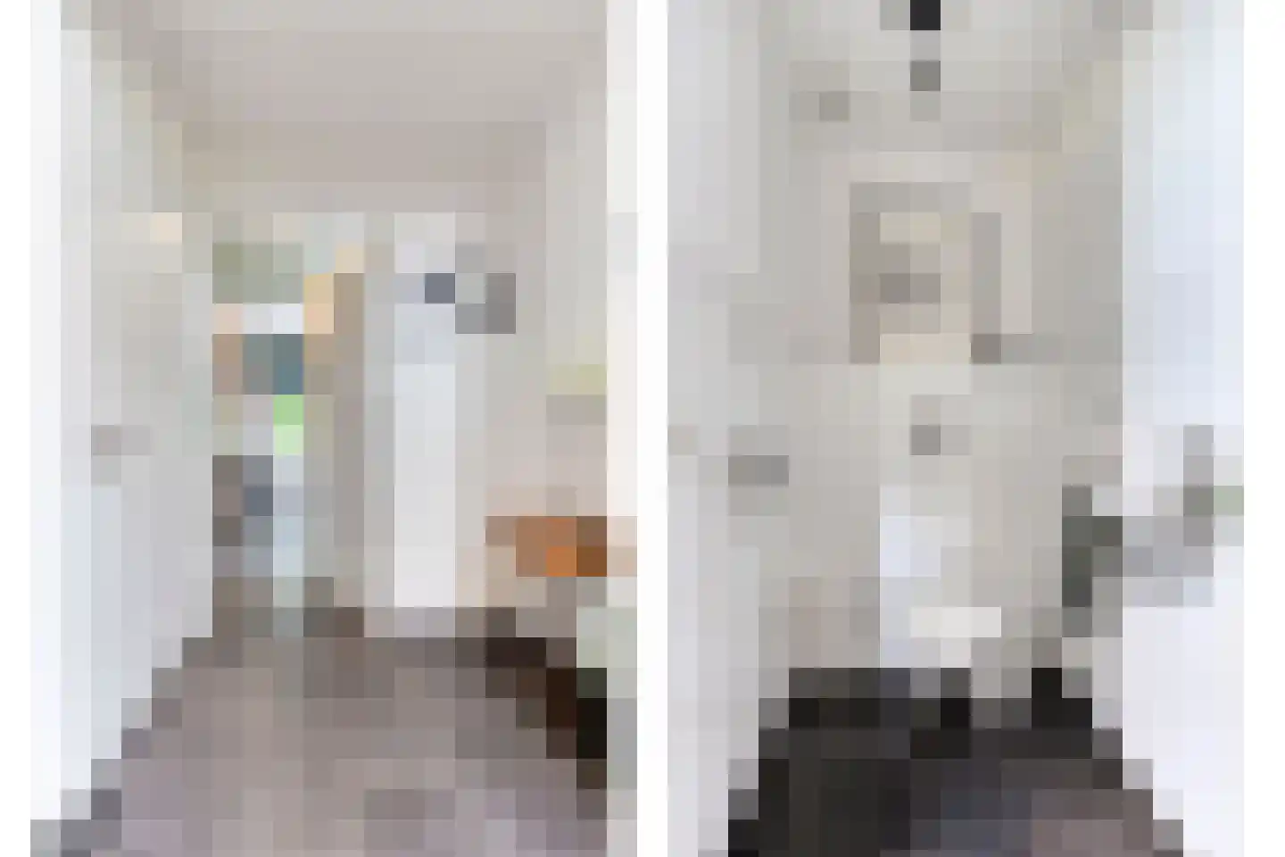 Snelleloop 1 Heesch thumbnail 60