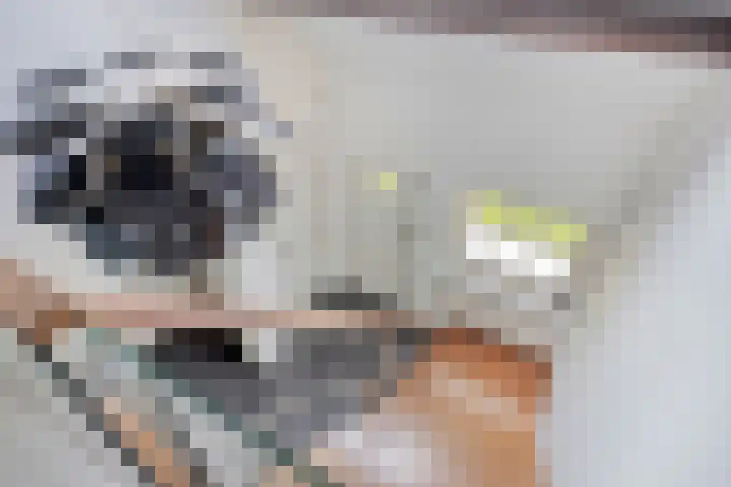 Snelleloop 1 Heesch thumbnail 61