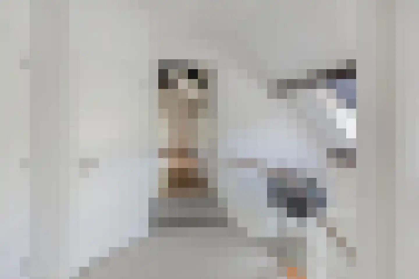 Snelleloop 1 Heesch thumbnail 62