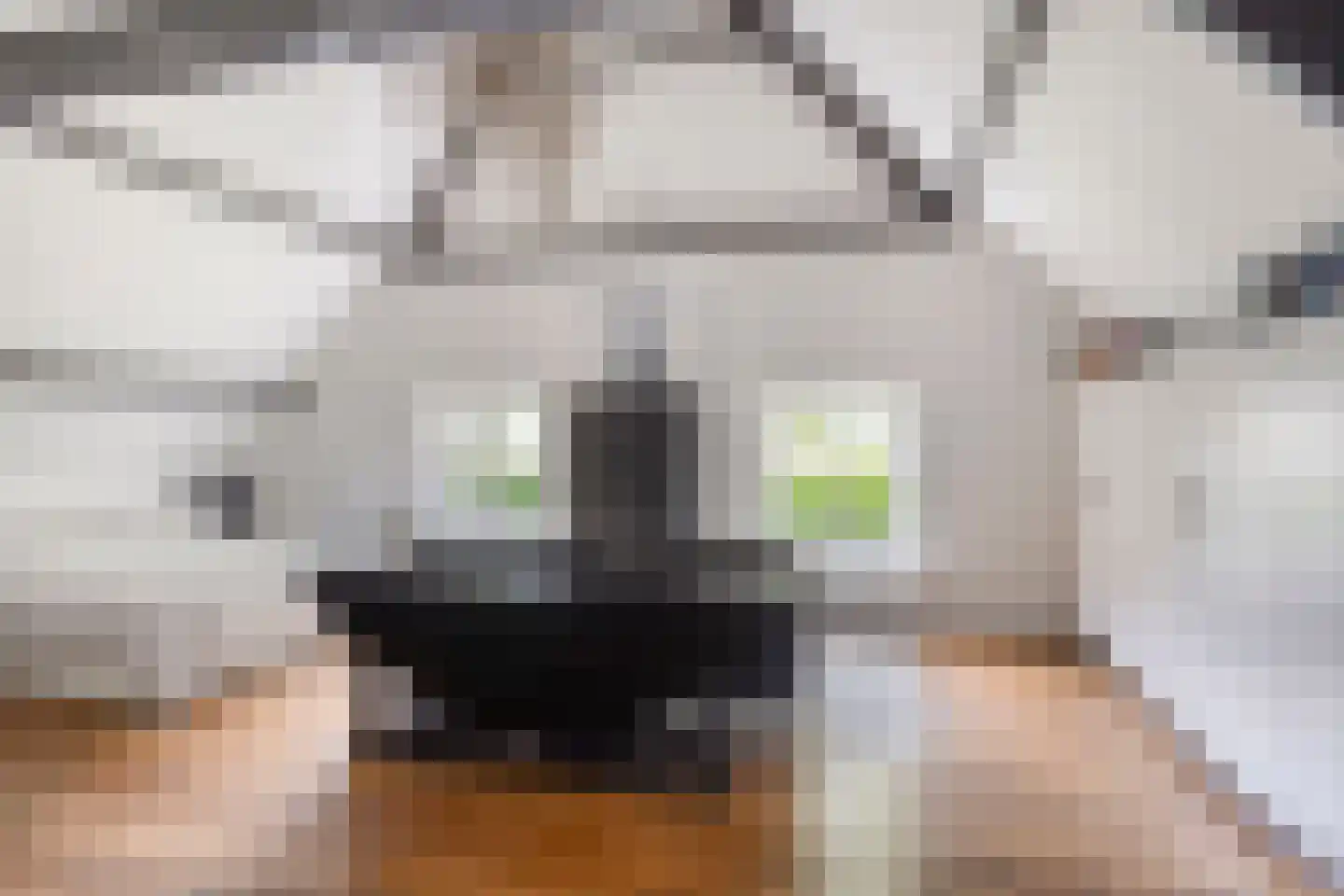 Snelleloop 1 Heesch thumbnail 63